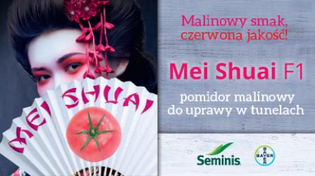 Mei Shuai F1 Pomidory malinowe